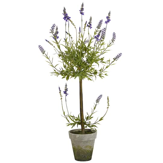 3ft. Potted Lavender Single Ball Topiary Tree